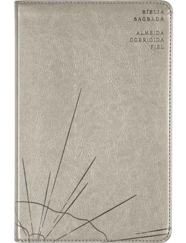 Bíblia Sagrada ACF Slim, Capa luxo cinza, Leitura Perfeita